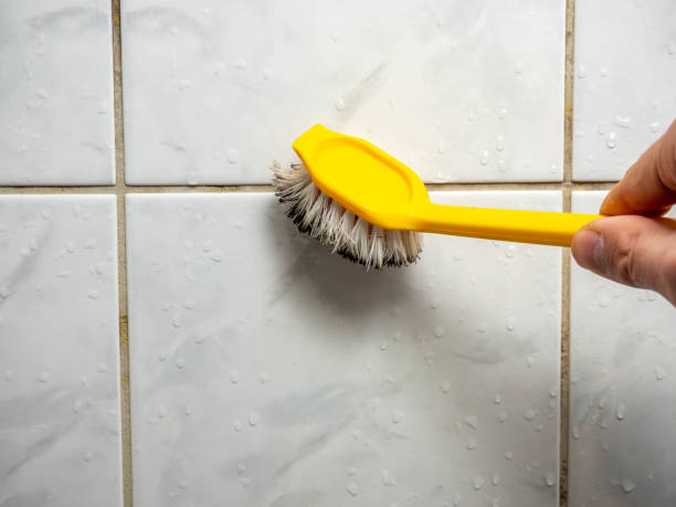 Best Black Mold Remediation in Franklin, CA