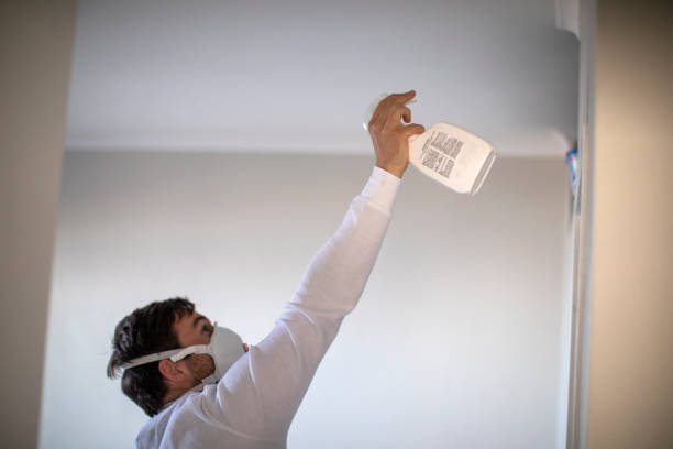 Best Industrial Mold Remediation in Franklin, CA