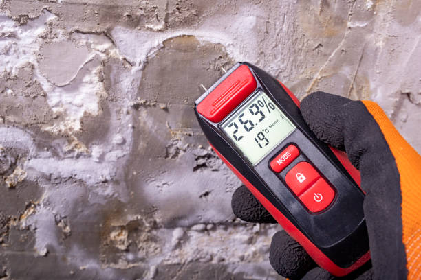 Best Preventive Mold Services in Franklin, CA